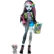 Кукла Monster High Core Doll Фрэнки (Обновление)