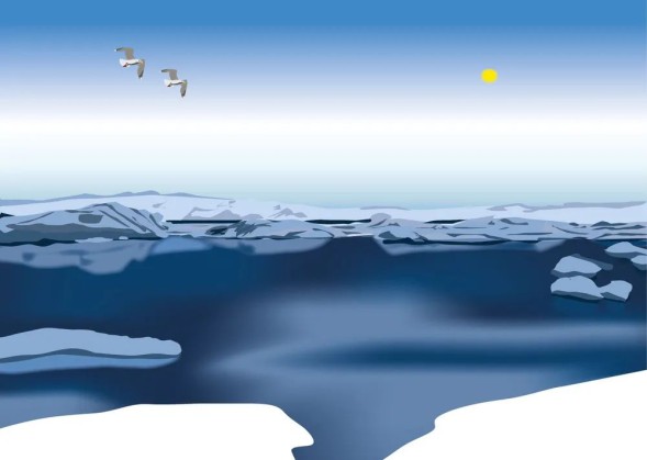 Моя книга наклеек. Животные мира