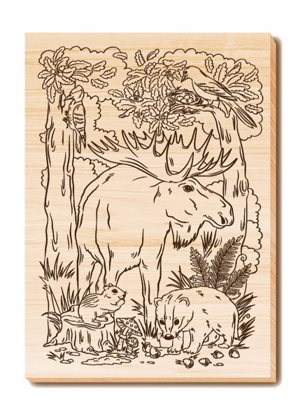 Набор досок для выжигания и росписи «Животный мир» с нанесенным рисунком (5 штук). Десятое королевство