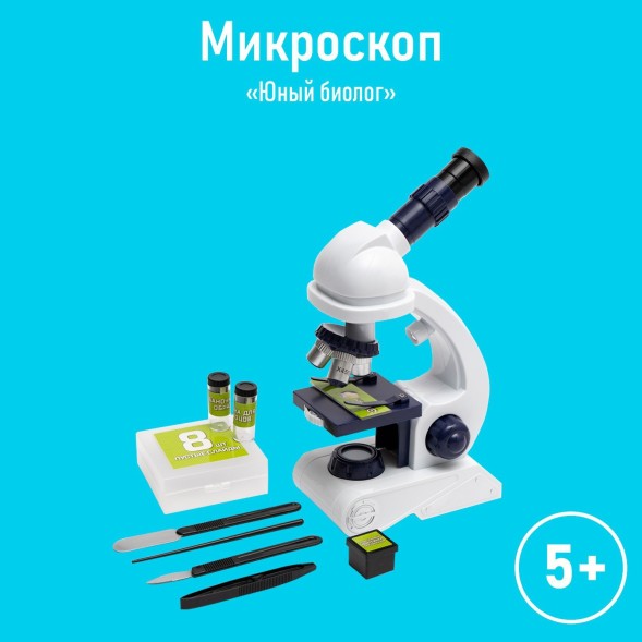 Микроскоп «Юный биолог», кратность увеличения 450х, 200х, 80х, с подсветкой