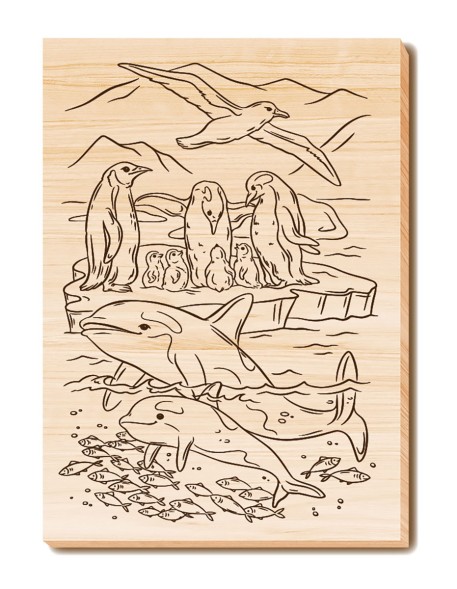 Набор досок для выжигания и росписи «Водный мир» с нанесенным рисунком (5 штук). Десятое королевство