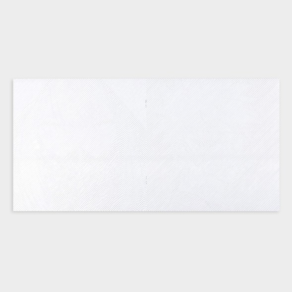 Раскраска-антистресс по полоскам «Яркие животные», 21 х 21 см