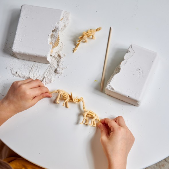 Раскопки для детей «Большой набор юного палеонтолога» (5 динозавров). Десятое королевство