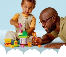 Конструктор LEGO DUPLO 10457 День рождения Винни Пуха