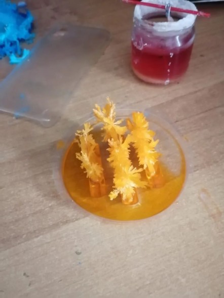 Набор для выращивания кристаллов Коралловые джунгли Master IQ2