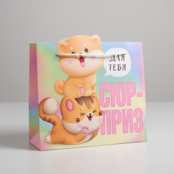 Пакет подарочный «Сюрприз», 25 × 26 × 10 см