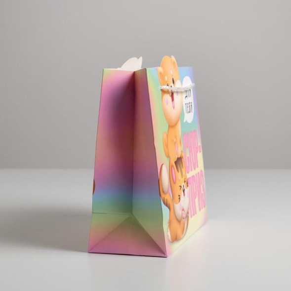 Пакет подарочный «Сюрприз», 25 × 26 × 10 см