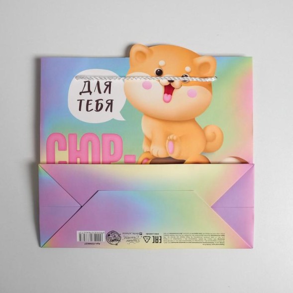 Пакет подарочный «Сюрприз», 25 × 26 × 10 см