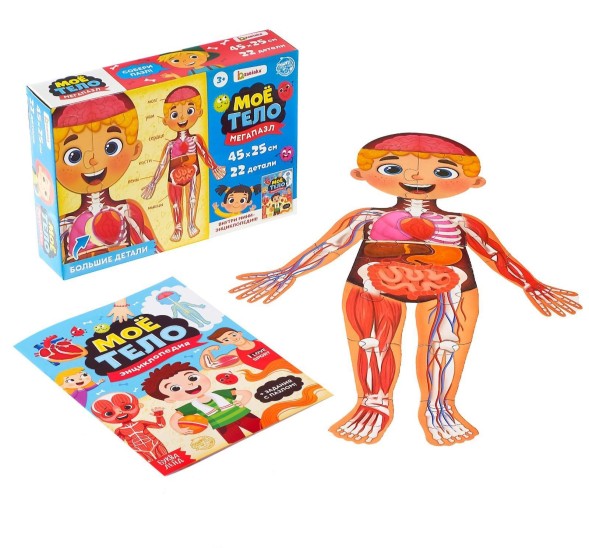 Набор «Моё тело»: мегапазл с обучающей книгой