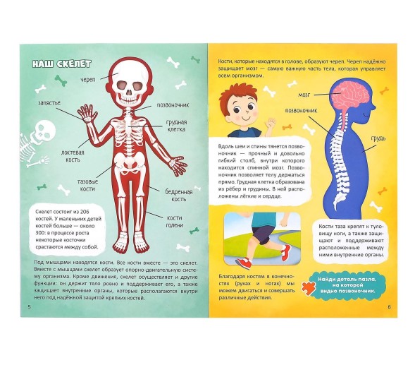 Набор «Моё тело»: мегапазл с обучающей книгой