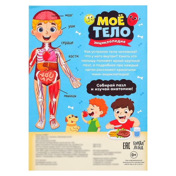 Набор «Моё тело»: мегапазл с обучающей книгой
