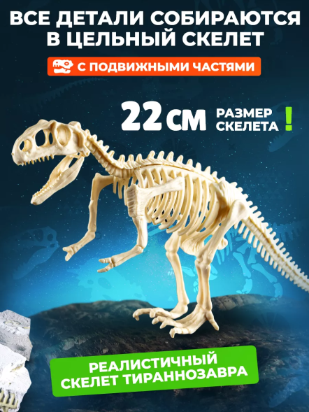 Раскопки для детей Скелет Динозавра Тираннозавр