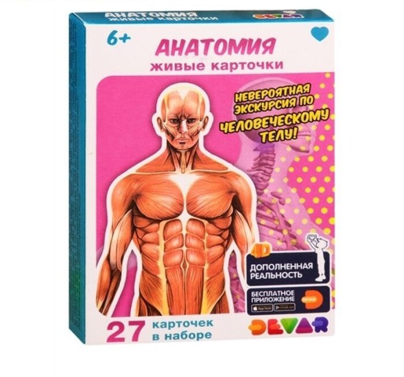 Живые карточки 4D «Анатомия!», 27 карточек