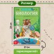 Энциклопедия в мягком переплёте «Биология для детей», 68 стр.