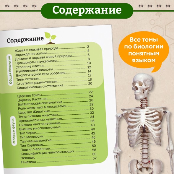 Энциклопедия в мягком переплёте «Биология для детей», 68 стр.