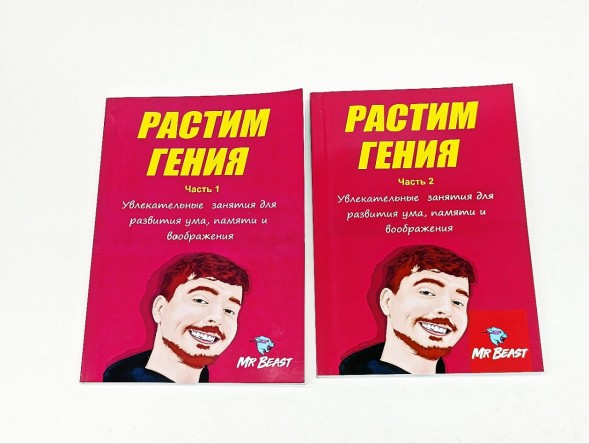 Растим гения, MrBeast, 2 части