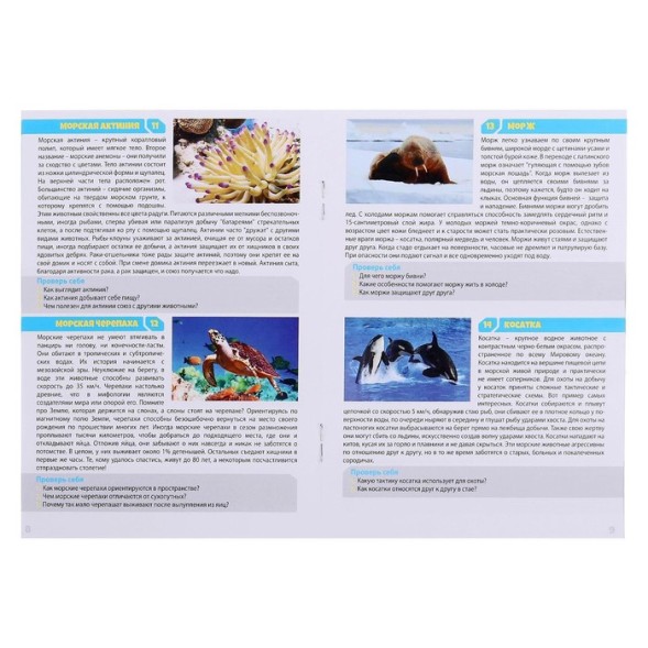 Настольная игра «Мемо. Водный мир»