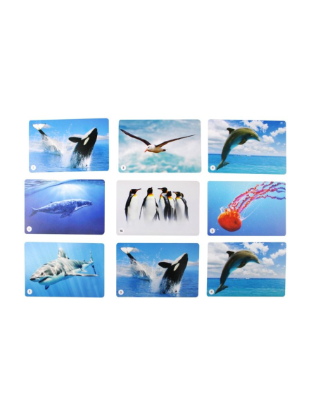 Настольная игра «Мемо. Обитатели земли»