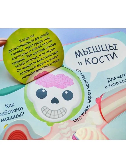 Волшебные окошки. Моё тело