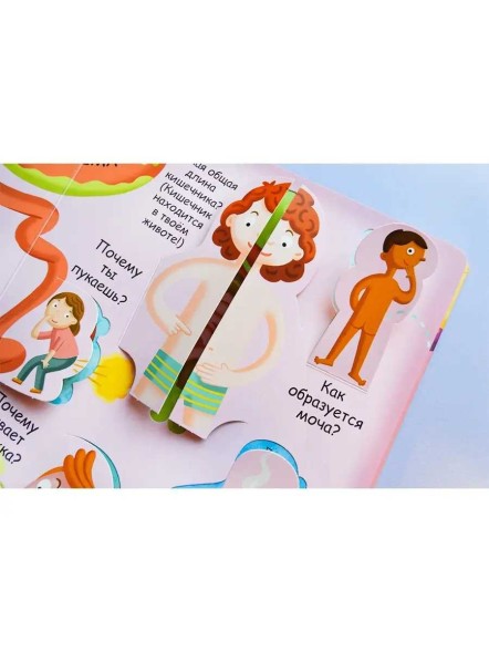 Волшебные окошки. Моё тело