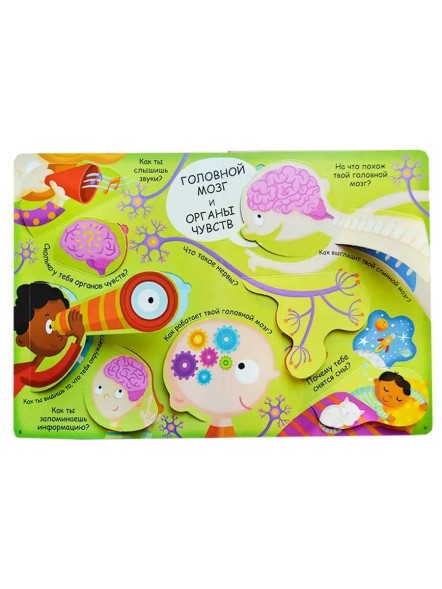 Волшебные окошки. Моё тело