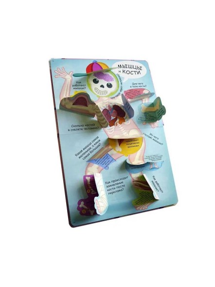 Волшебные окошки. Моё тело