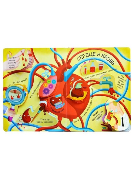 Волшебные окошки. Моё тело