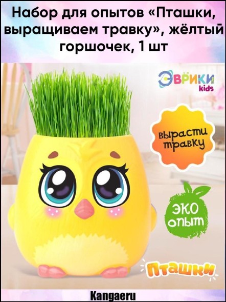 Набор для опытов «Пташки, выращиваем травку»