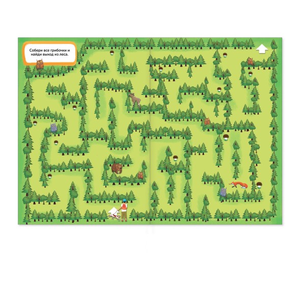 Книга «Суперлабиринты. Секретные тропинки», формат А4, 16 стр.