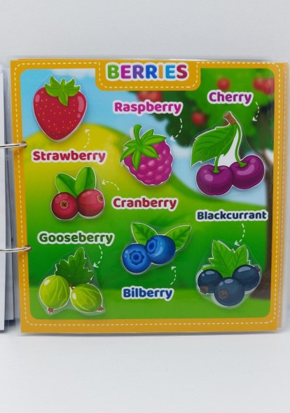 Игра на липучках My first english, часть 1