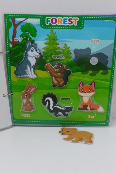 Игра на липучках My first english, часть 1