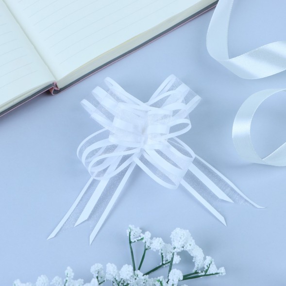 Подарочный Бант - бабочка в ассортименте