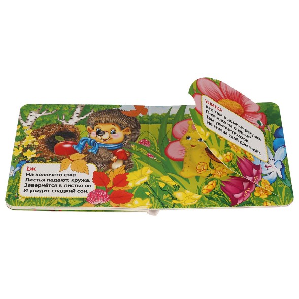 Книжка с окошками «Кто, где живёт», 127 х 127 мм. Степанов В. А.