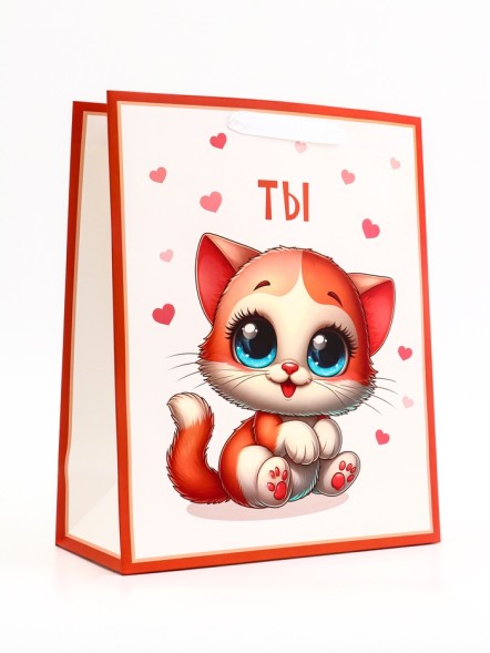 Пакет подарочный вертикальный ТЫ, 26×32×12 см