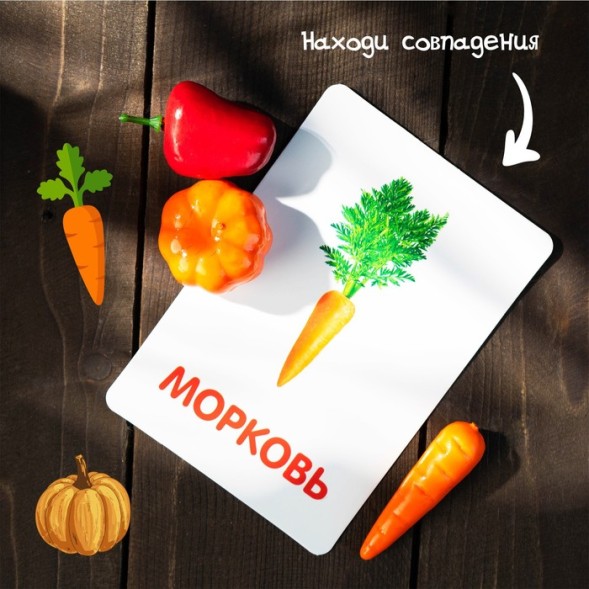 Обучающий набор по методике Г. Домана «Овощи»: 9 карточек + 9 овощей, счётный материал