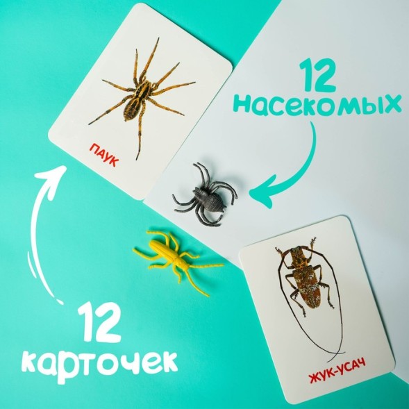 Развивающий набор с карточками «Мир насекомых», по методике Домана