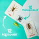 Развивающий набор с карточками «Мир насекомых», по методике Домана