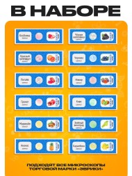 Набор для опытов «Набор микропрепаратов», фрукты и ягоды