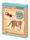 Набор досок с рисунком для выжигания А5 и А4 формата «Жук-олень» и «Тигр» (4 штуки), Десятое королевство