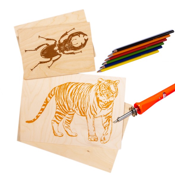 Набор досок с рисунком для выжигания А5 и А4 формата «Жук-олень» и «Тигр» (4 штуки), Десятое королевство