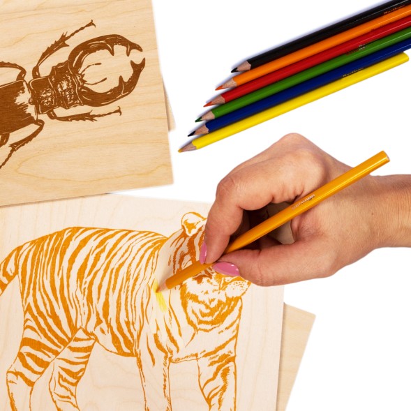 Набор досок с рисунком для выжигания А5 и А4 формата «Жук-олень» и «Тигр» (4 штуки), Десятое королевство