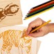 Набор досок с рисунком для выжигания А5 и А4 формата «Жук-олень» и «Тигр» (4 штуки), Десятое королевство