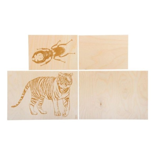 Набор досок с рисунком для выжигания А5 и А4 формата «Жук-олень» и «Тигр» (4 штуки), Десятое королевство