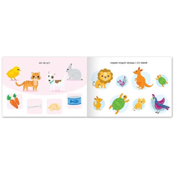 Набор книг с заданиями «Найди», 8 шт. по 24 стр.