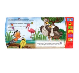 Музыкальная книга «Страусёнок», 12 стр.