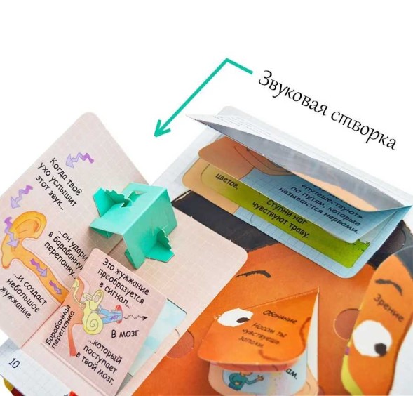 Секреты человека. Книга с окошками. Робинс