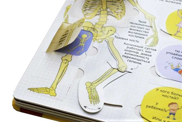 Секреты человека. Книга с окошками. Робинс