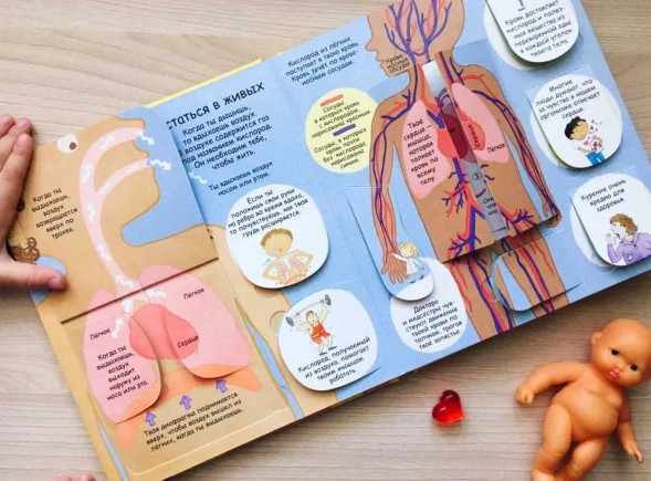 Секреты человека. Книга с окошками. Робинс