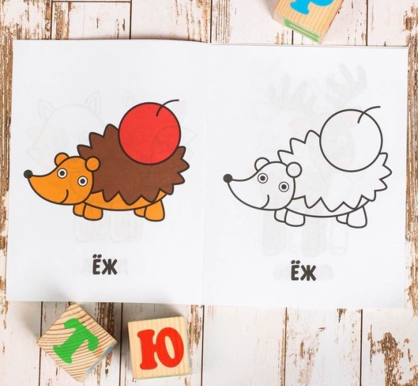 Раскраска «Лесные животные», 16 стр.