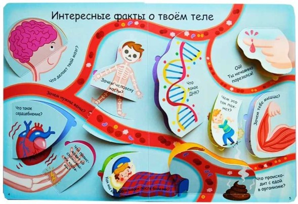 Волшебные окошки. Как все устроено? Книга с окошками. Робинс